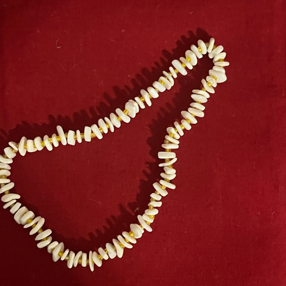 Shells Necklace with Gold Accent - Picture 1 of 5